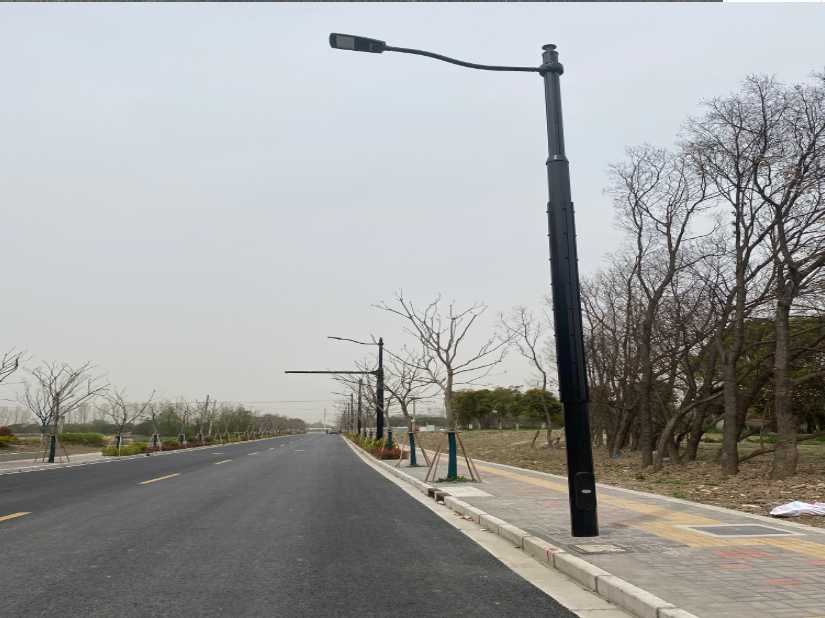 台前县上海综合杆 太阳能路灯工程